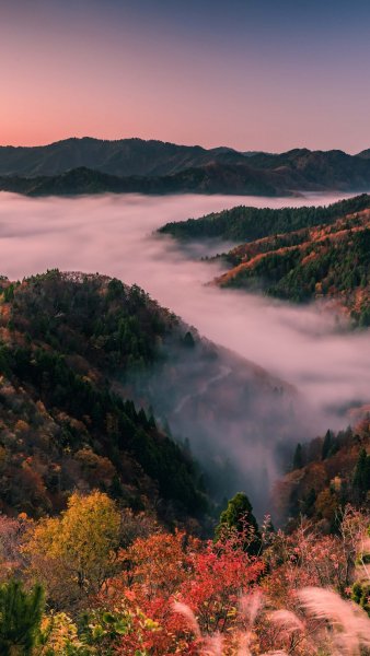 file_96659802
