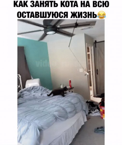 IMG 20230103 030734