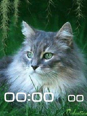 10 Мурзик анимация