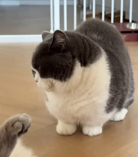 FB IMG 1771329591054