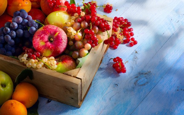 file_66623121