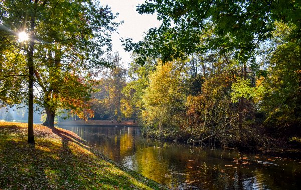 Netherlands Parks Autumn 458630