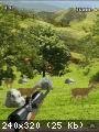HuntingMania2 efigs nokia 3250