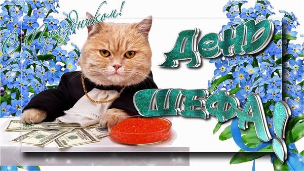 Открытка с праздником день шефа