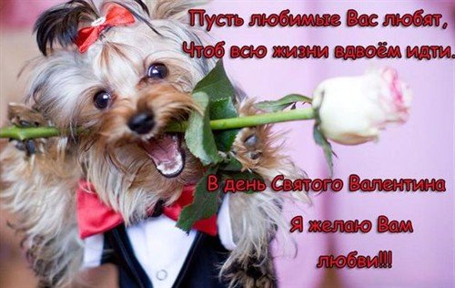 С днём Св. Валентина