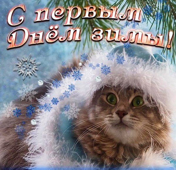 file_98382931