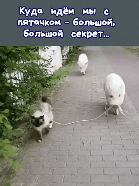 IMG 20240520 005027