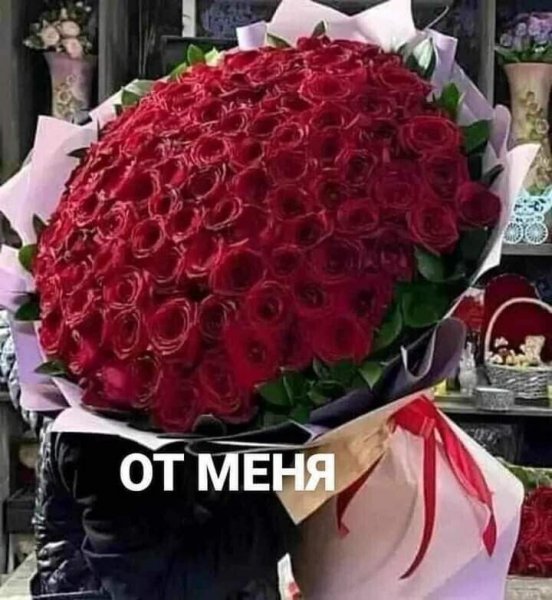 IMG 20240920 220909