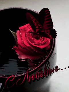 Animaciya 240 320-wap sasisa ru