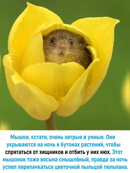 file_88802217