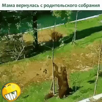 IMG 20220910 101431