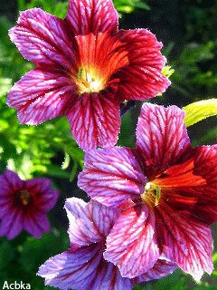 file_59059093