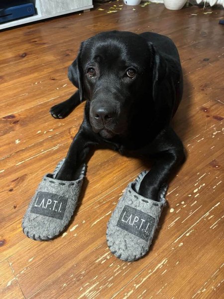 WDFBBTTHNHYGXFYFX9MPAQ