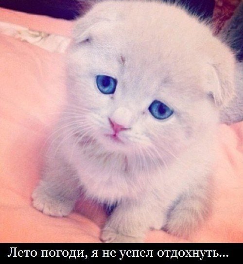 file_54374590