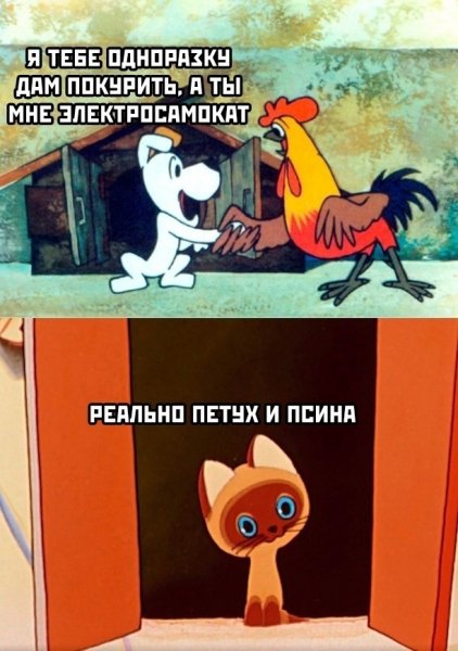 file_101975240