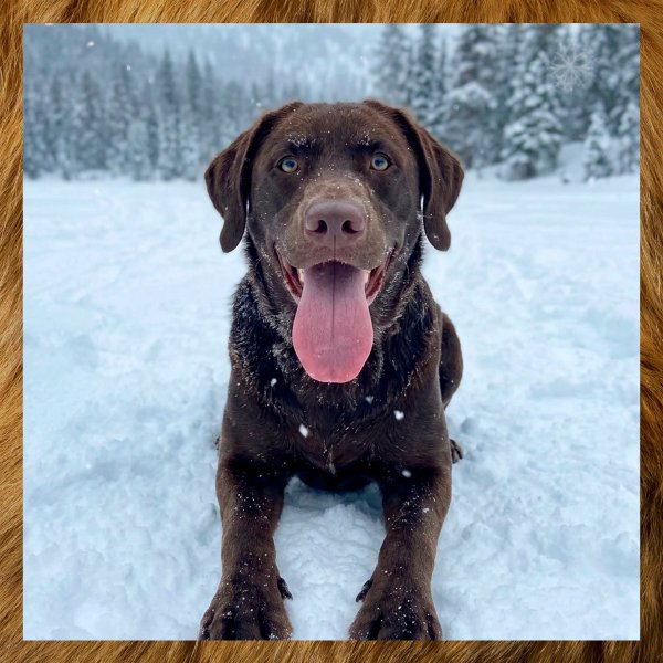 Z57DADYWRTUUTREWRTYUTRX