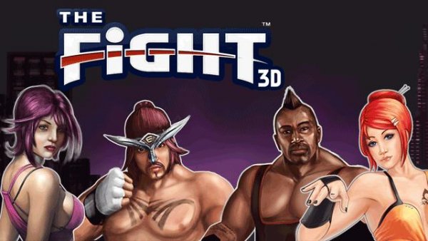 The Fight 3D