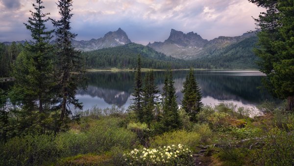file_96039017