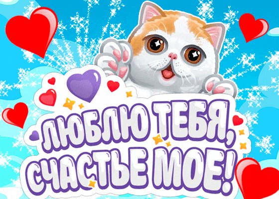 IMG 20191114 145543