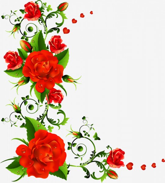 rose-flower-border-free-download-png-hd