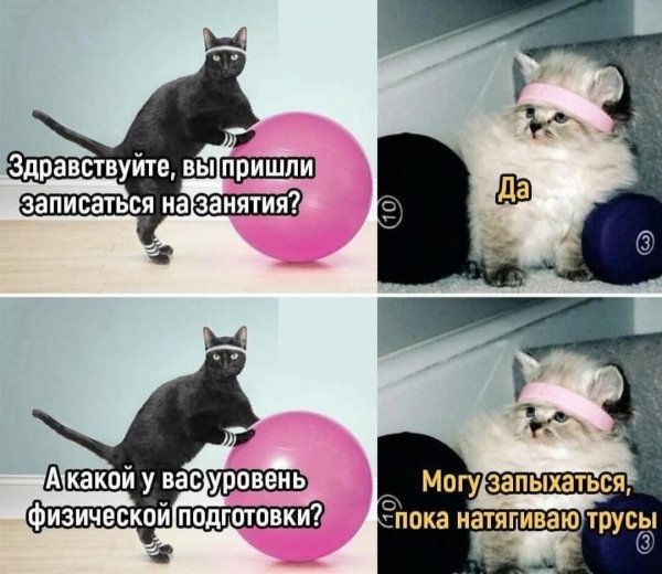 FB IMG 1778007352252