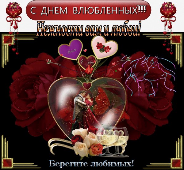 IMG 20160206 171551 0