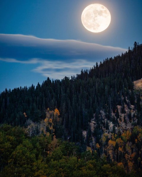 file_96356438