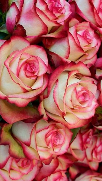 FB IMG 1715049835629