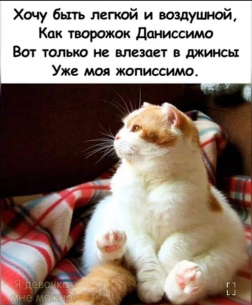FB IMG 1779989228030