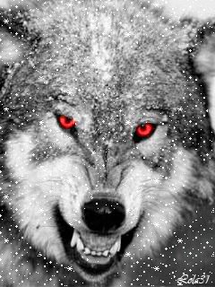 Оскал волка