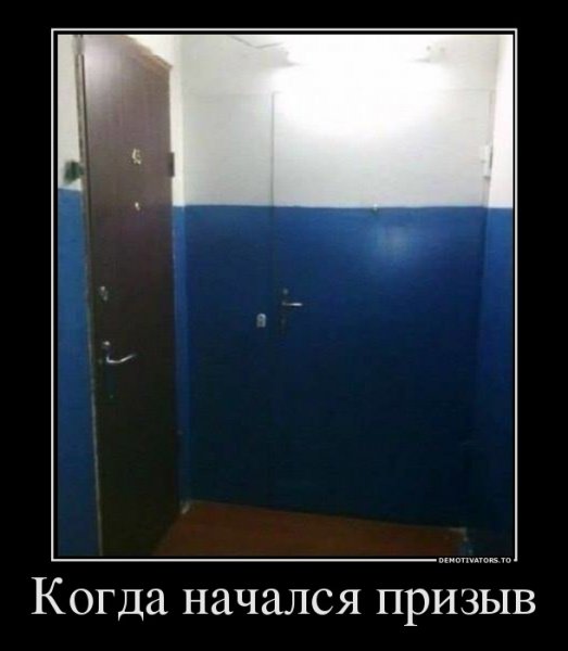 file_71851850