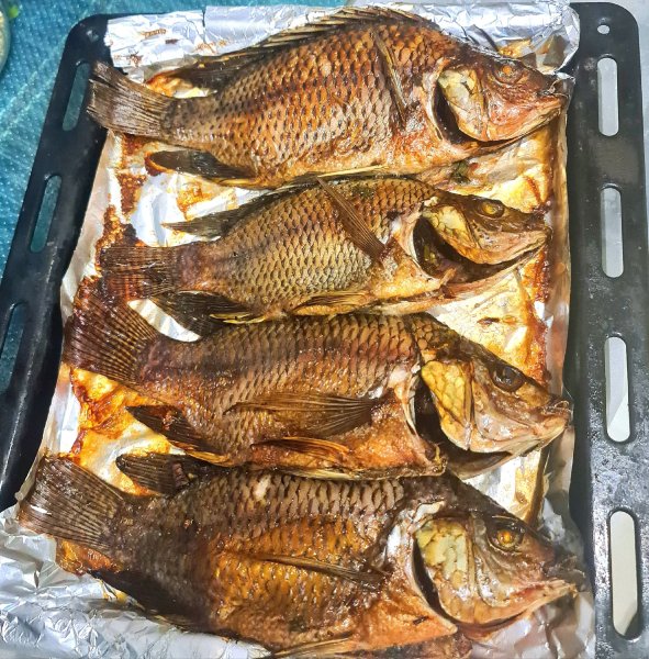 file_101421403