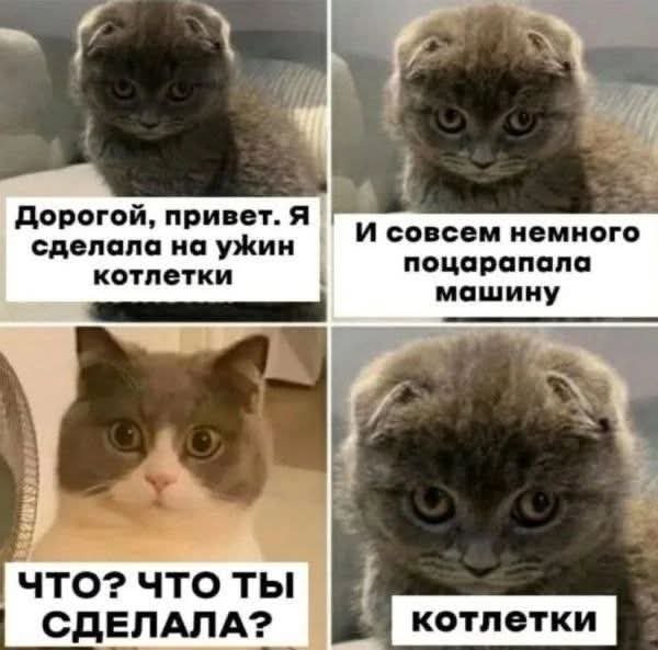 FB IMG 1777393065831