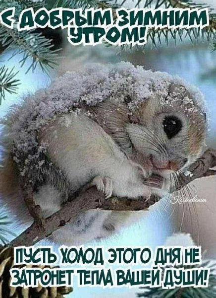 file_89631931