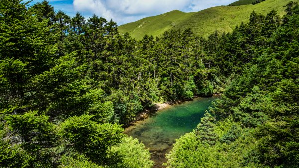 file_100946187