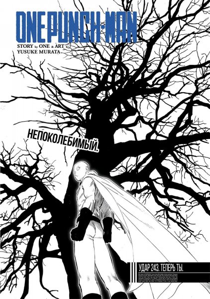OnePunch-Man v34 ch243