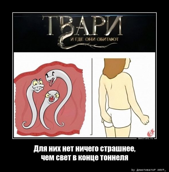 Твари