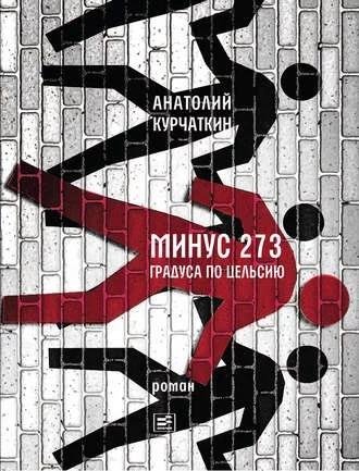Анатолий Курчаткин. Минус 273 градуса по Цельсию