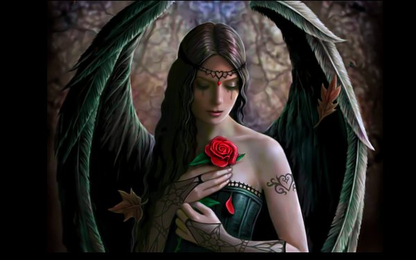 Angel Roses Anne Stokes