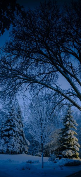 file_92070576
