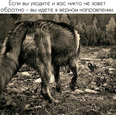 IMG 20150912 182315 6