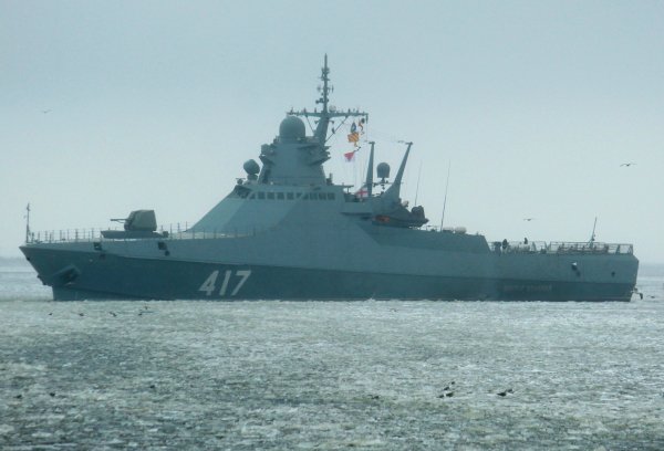 IMG viter59 212900