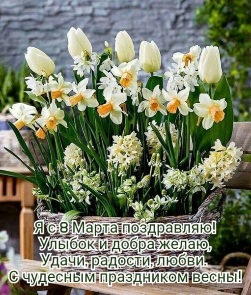 Wishpics ru 12199