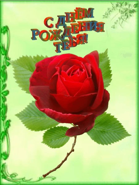 СДР Роза ФонЗeл