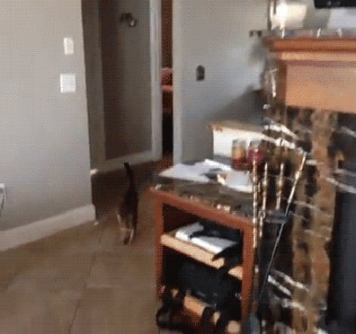 Тем временем в Японии