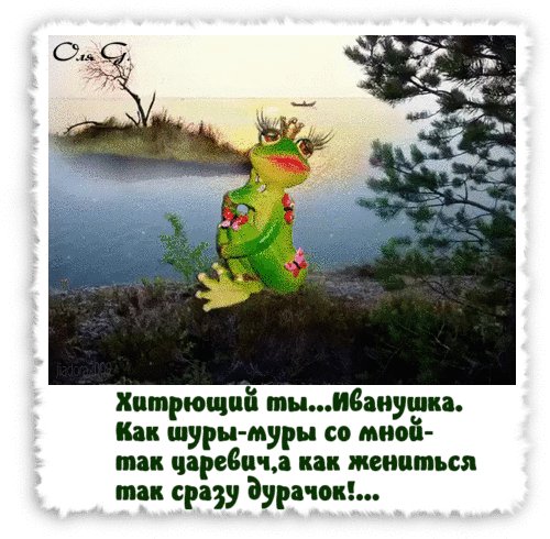 file_75497502
