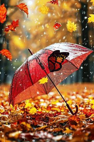 file_101043480
