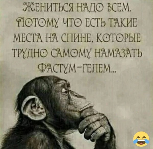 FB IMG 1777318177091