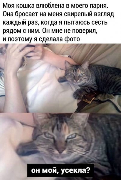 file_101810170