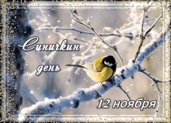 Анимированная открытка 12 ноября синичкин